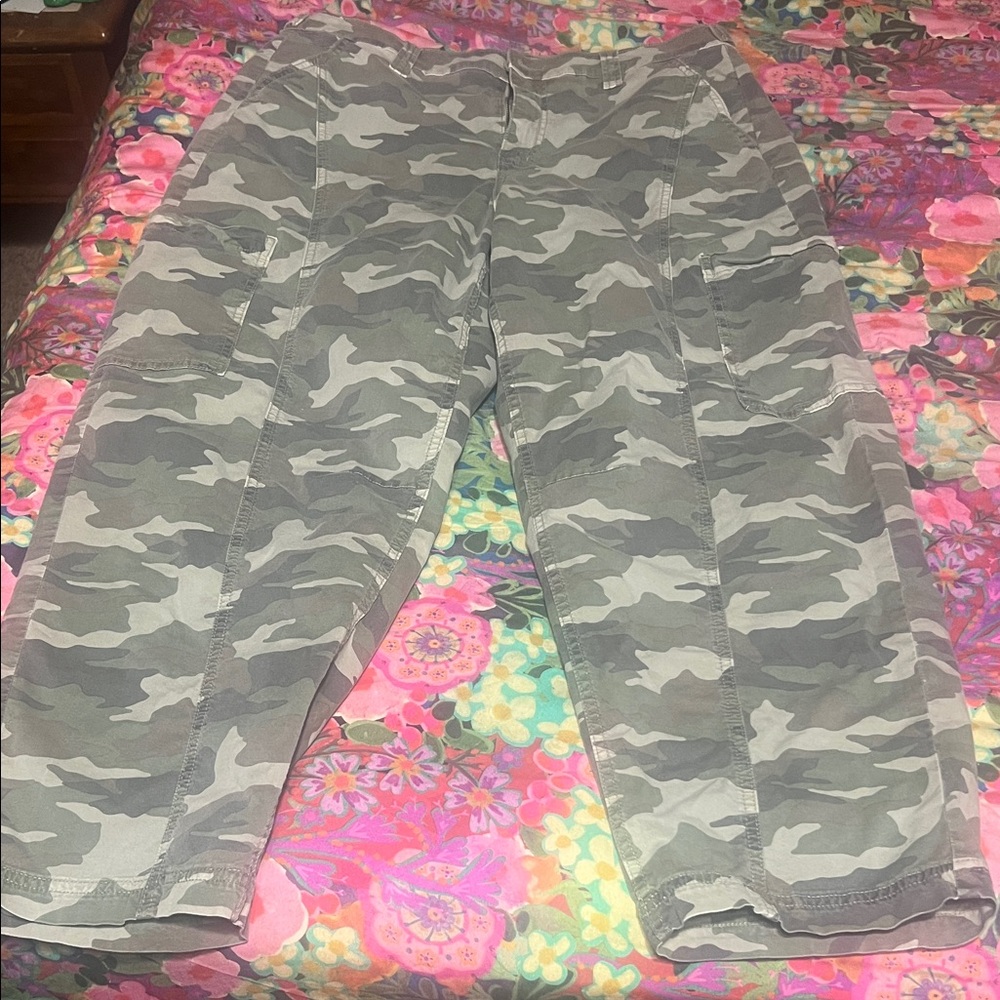 American Eagle Outfitters Olive & Gray Cargo Pants